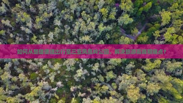 如何从楚雄便捷出行至三亚凤凰岭公园，解决旅游高峰期痛点？