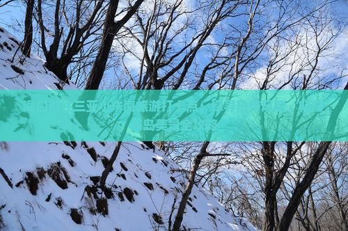 海口前往三亚小东海旅游打卡点：探寻热带风情，畅游海岛美景全攻略