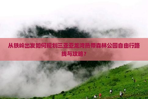 从铁岭出发如何规划三亚亚龙湾热带森林公园自由行路线与攻略？
