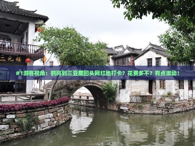 #1游客视角：鹤岗到三亚鹿回头网红地打卡？花费多不？有点激动！