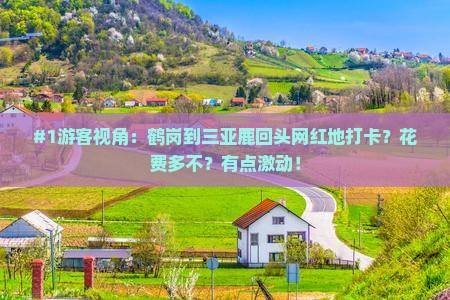 #1游客视角：鹤岗到三亚鹿回头网红地打卡？花费多不？有点激动！
