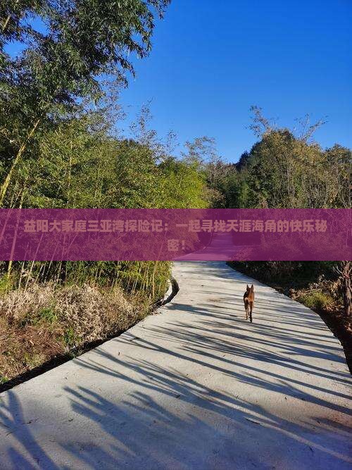 益阳大家庭三亚湾探险记：一起寻找天涯海角的快乐秘密！