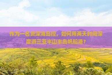 作为一名资深海岛控，如何用两天时间深度游三亚半山半岛帆船港？
