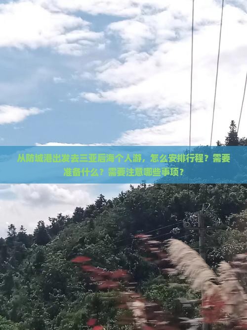 从防城港出发去三亚后海个人游，怎么安排行程？需要准备什么？需要注意哪些事项？