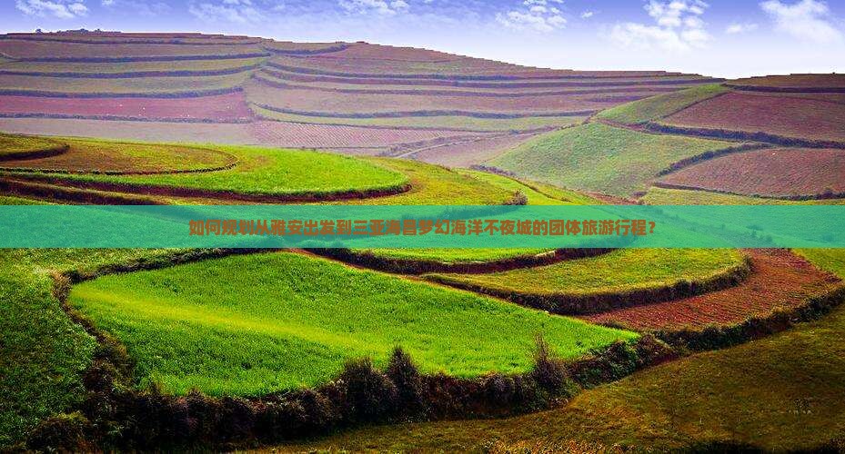 如何规划从雅安出发到三亚海昌梦幻海洋不夜城的团体旅游行程？