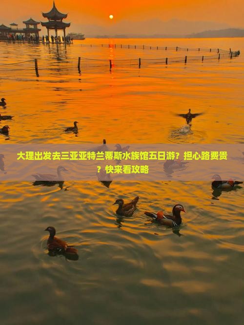 大理出发去三亚亚特兰蒂斯水族馆五日游？担心路费贵？快来看攻略
