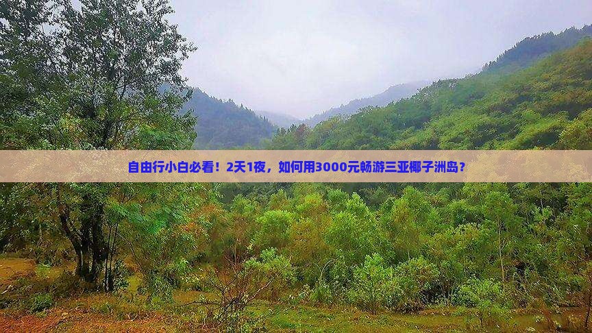 自由行小白必看！2天1夜，如何用3000元畅游三亚椰子洲岛？