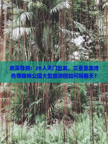 资深导游：20人天门出发，三亚亚龙湾热带森林公园大型旅游团如何嗨翻天？