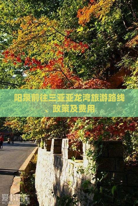 阳泉前往三亚亚龙湾旅游路线、政策及费用