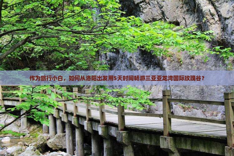 作为旅行小白，如何从洛阳出发用5天时间畅游三亚亚龙湾国际玫瑰谷？