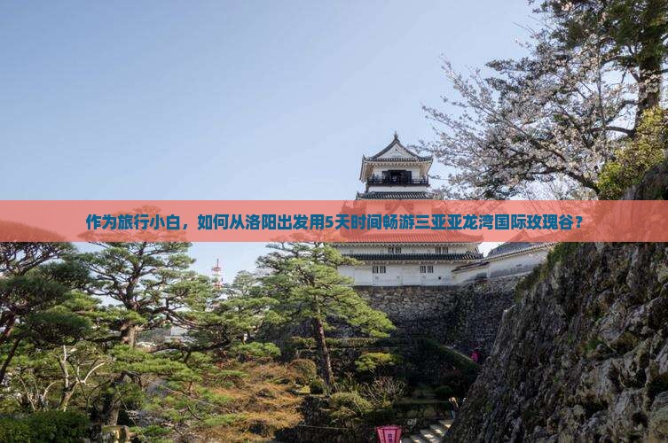 作为旅行小白，如何从洛阳出发用5天时间畅游三亚亚龙湾国际玫瑰谷？