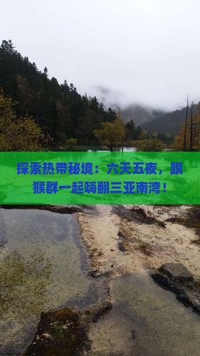 探索热带秘境：六天五夜，跟猴群一起嗨翻三亚南湾！