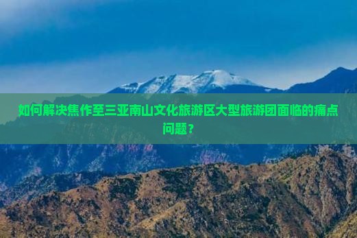 如何解决焦作至三亚南山文化旅游区大型旅游团面临的痛点问题？