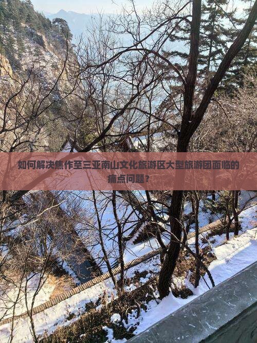 如何解决焦作至三亚南山文化旅游区大型旅游团面临的痛点问题？