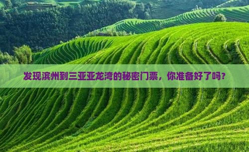 发现滨州到三亚亚龙湾的秘密门票，你准备好了吗？
