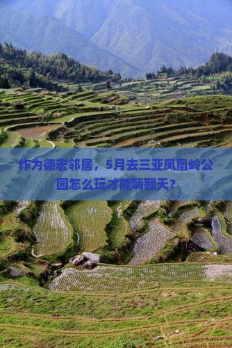作为德宏邻居，5月去三亚凤凰岭公园怎么玩才能嗨翻天？