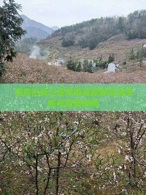 自贡出发三亚凤凰岛旅游全景攻略与美食指南