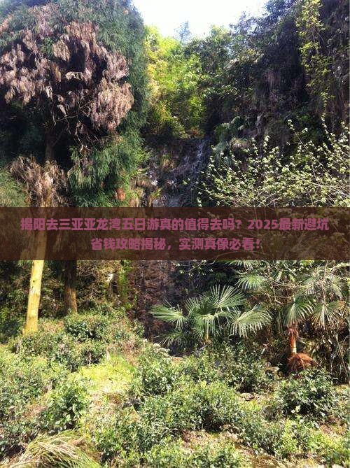 揭阳去三亚亚龙湾五日游