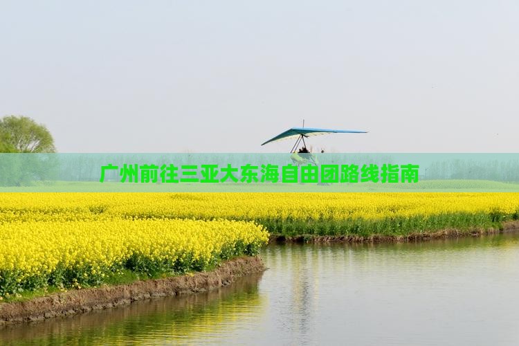 广州前往三亚大东海自由团
