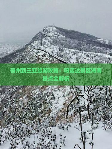 宿州前往三亚呀诺达景区旅游