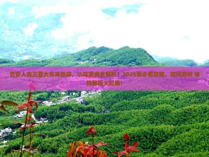 吉安前往三亚大东海旅游小吃