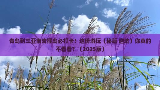 青岛前往三亚南湾猴岛必玩地