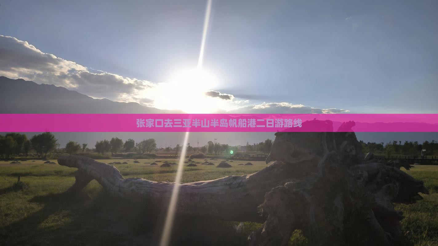 张家口去三亚半山半岛帆船港二日游