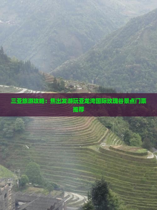 焦作出发三亚亚龙湾国际玫瑰谷攻略