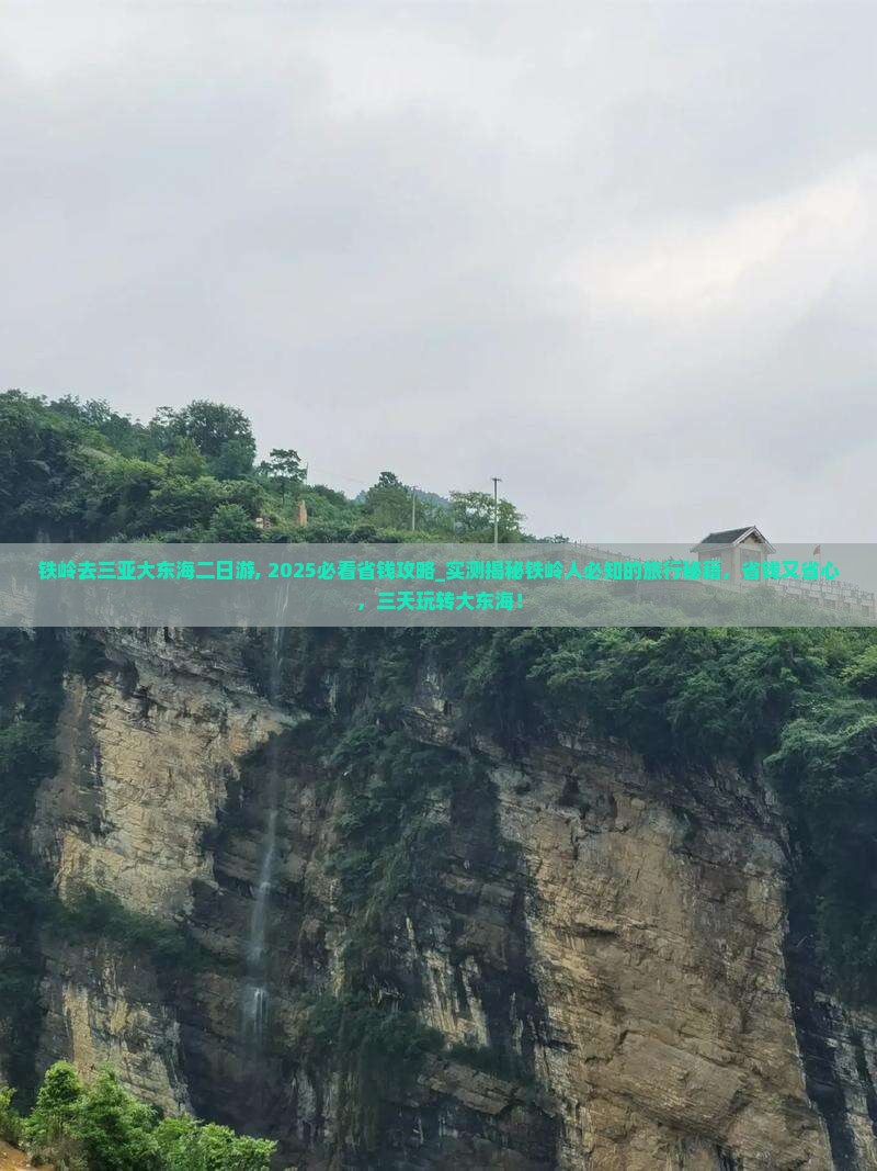 铁岭去三亚大东海二日游