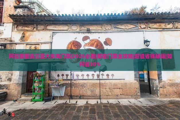阿拉善盟去三亚大东海门票