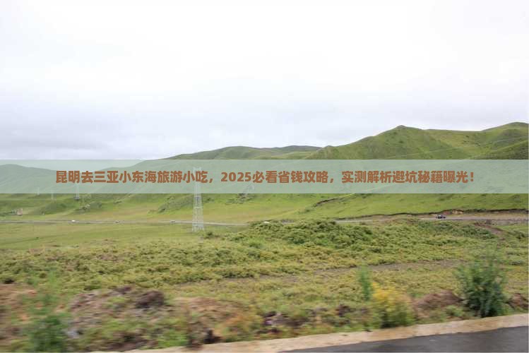 昆明去三亚小东海旅游小吃