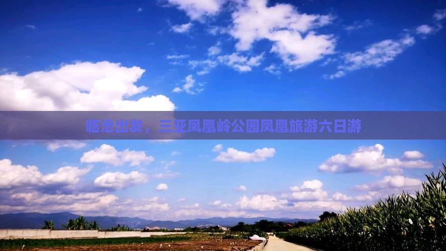 临沧去三亚凤凰岭公园六日游