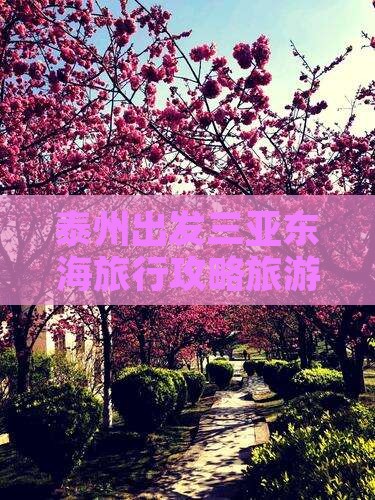 泰州出发三亚小东海自由团