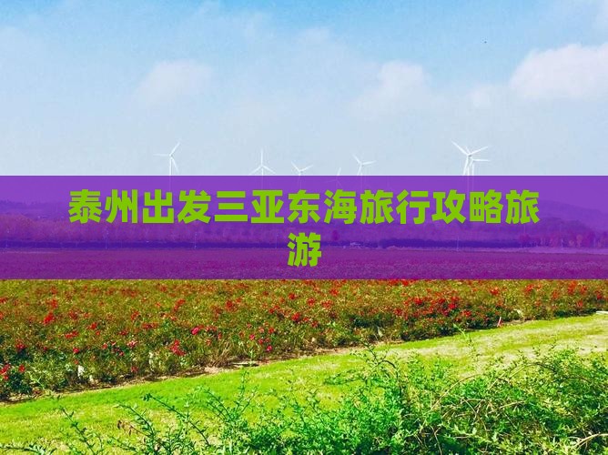泰州出发三亚小东海自由团