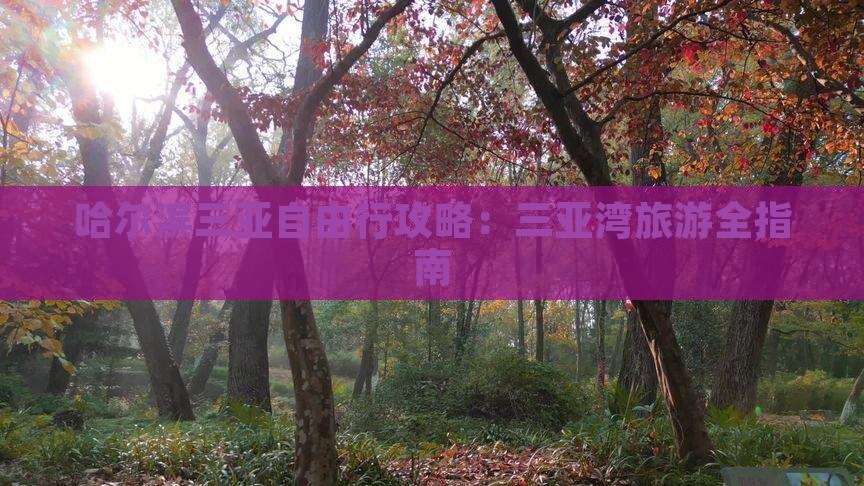 哈尔滨前往三亚三亚湾自由团 哈尔滨前往三亚三亚湾自由团