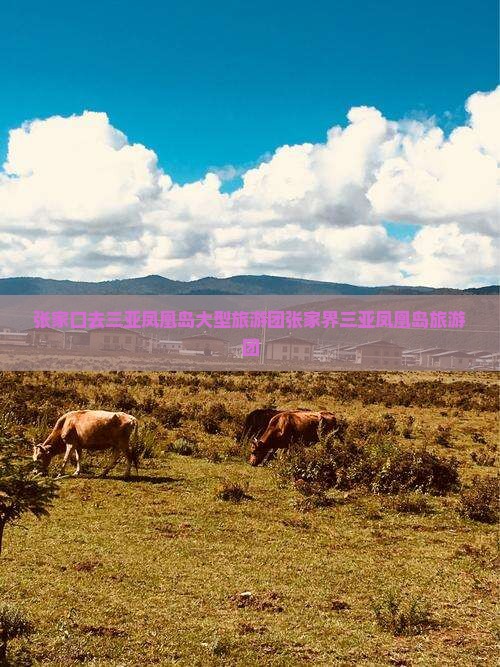张家口去三亚凤凰岛大型旅游团