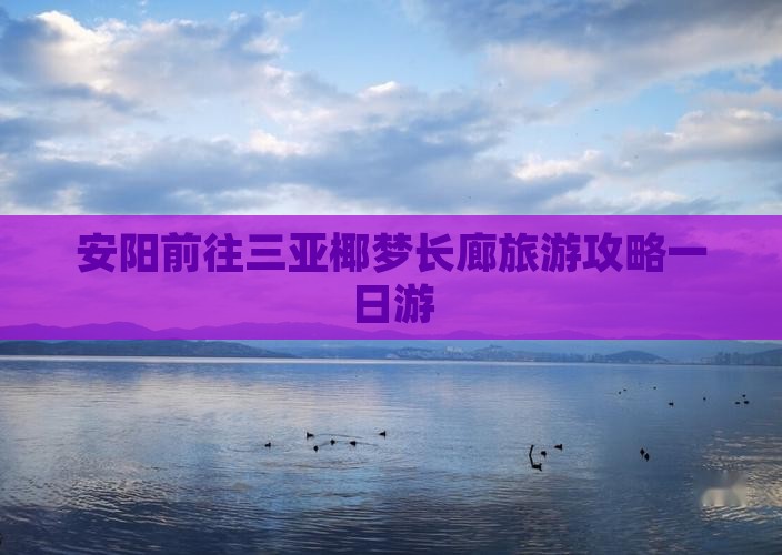 安阳前往三亚椰梦长廊一日游