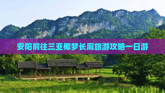 安阳前往三亚椰梦长廊一日游