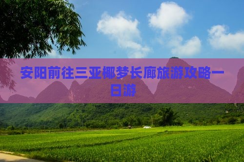 安阳前往三亚椰梦长廊一日游