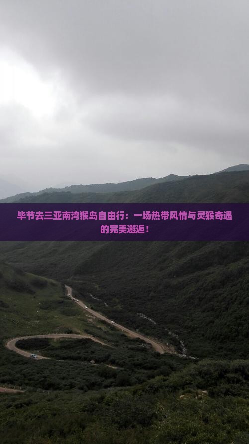 毕节去三亚南湾猴岛自由行