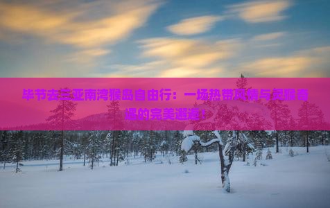 毕节去三亚南湾猴岛自由行
