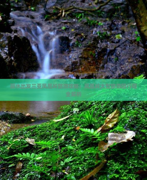 丽水出发三亚凤凰岭公园大型旅游团