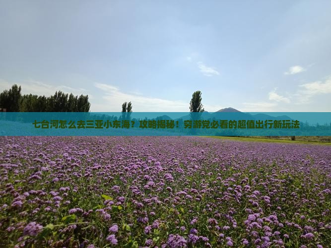 七台河前往三亚小东海攻略