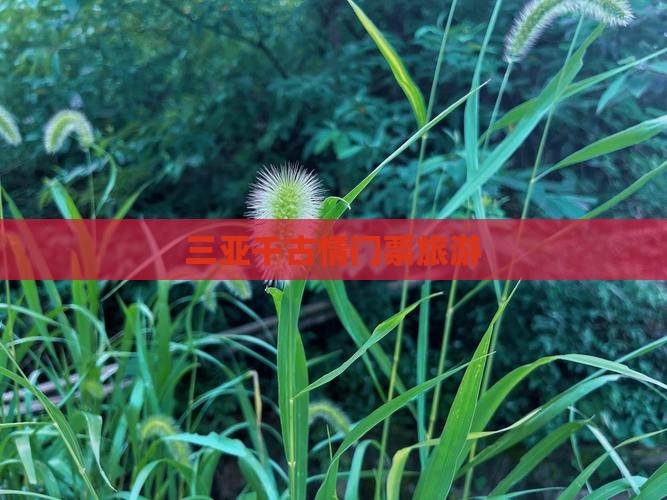 三门峡去三亚千古情门票