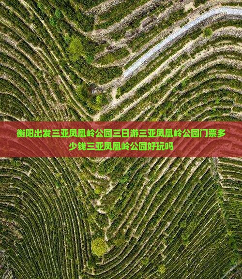 衡阳出发三亚凤凰岭公园三日游