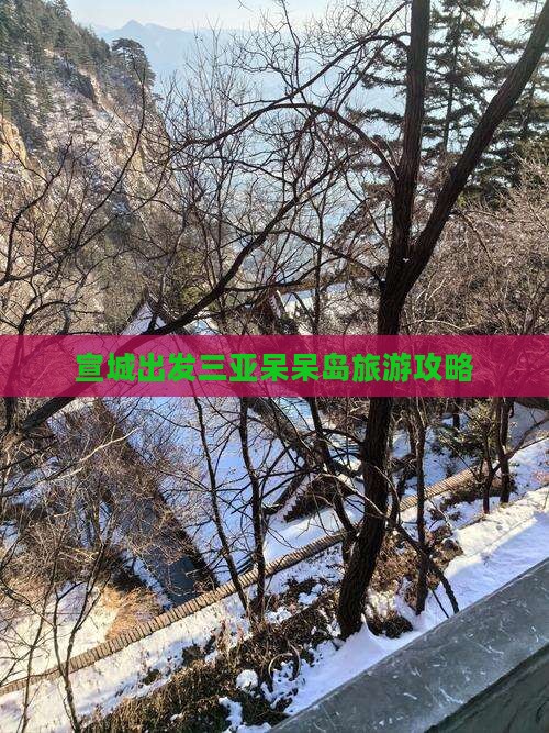 宣城出发三亚呆呆岛旅行社