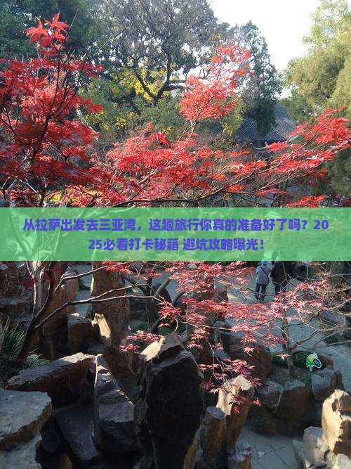 拉萨出发三亚三亚湾旅游打卡点