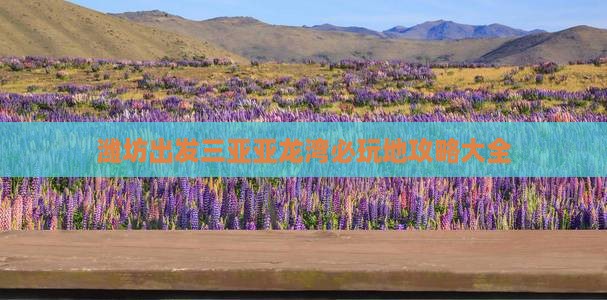 潍坊出发三亚亚龙湾必玩地
