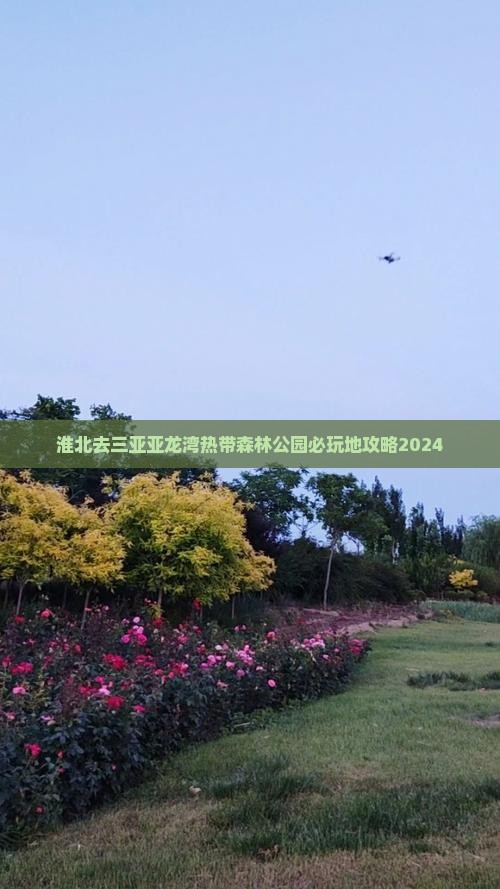 淮北去三亚亚龙湾热带森林公园必玩地