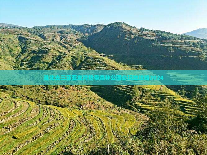 淮北去三亚亚龙湾热带森林公园必玩地